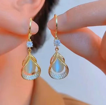 Elegant Luxury High-end Earrings